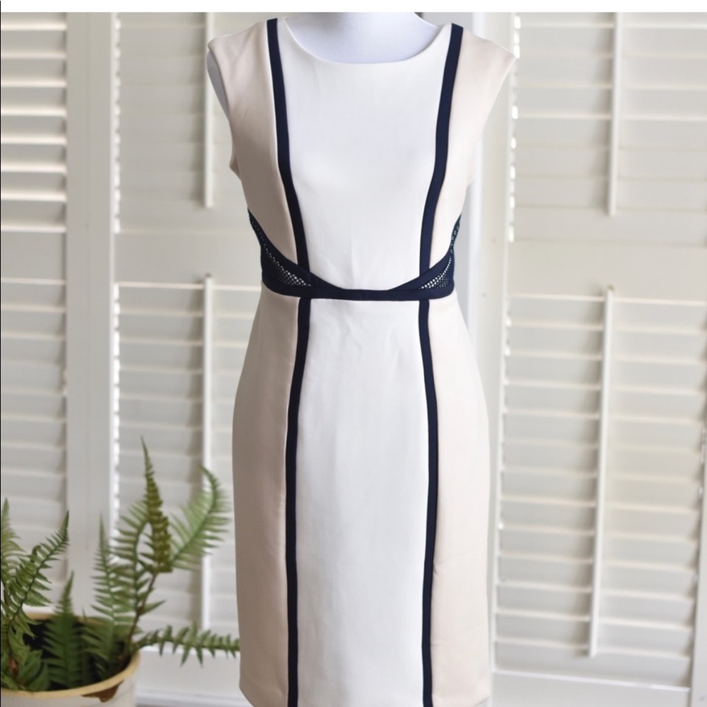 Sandra Darren Shift Dress